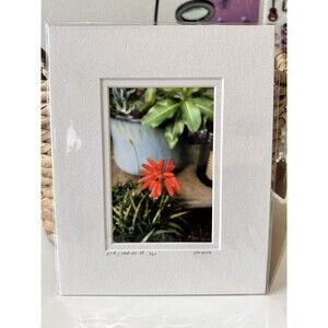 Original Photography 5X7 Picture Double Matted For 8X10 Frame